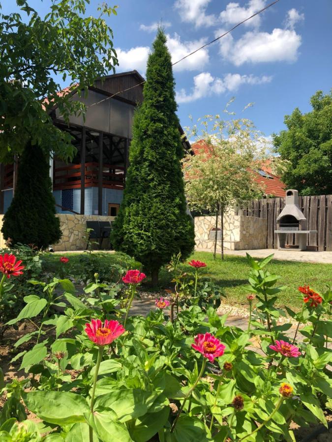 Relax Apartman Nyíregyháza Kültér fotó