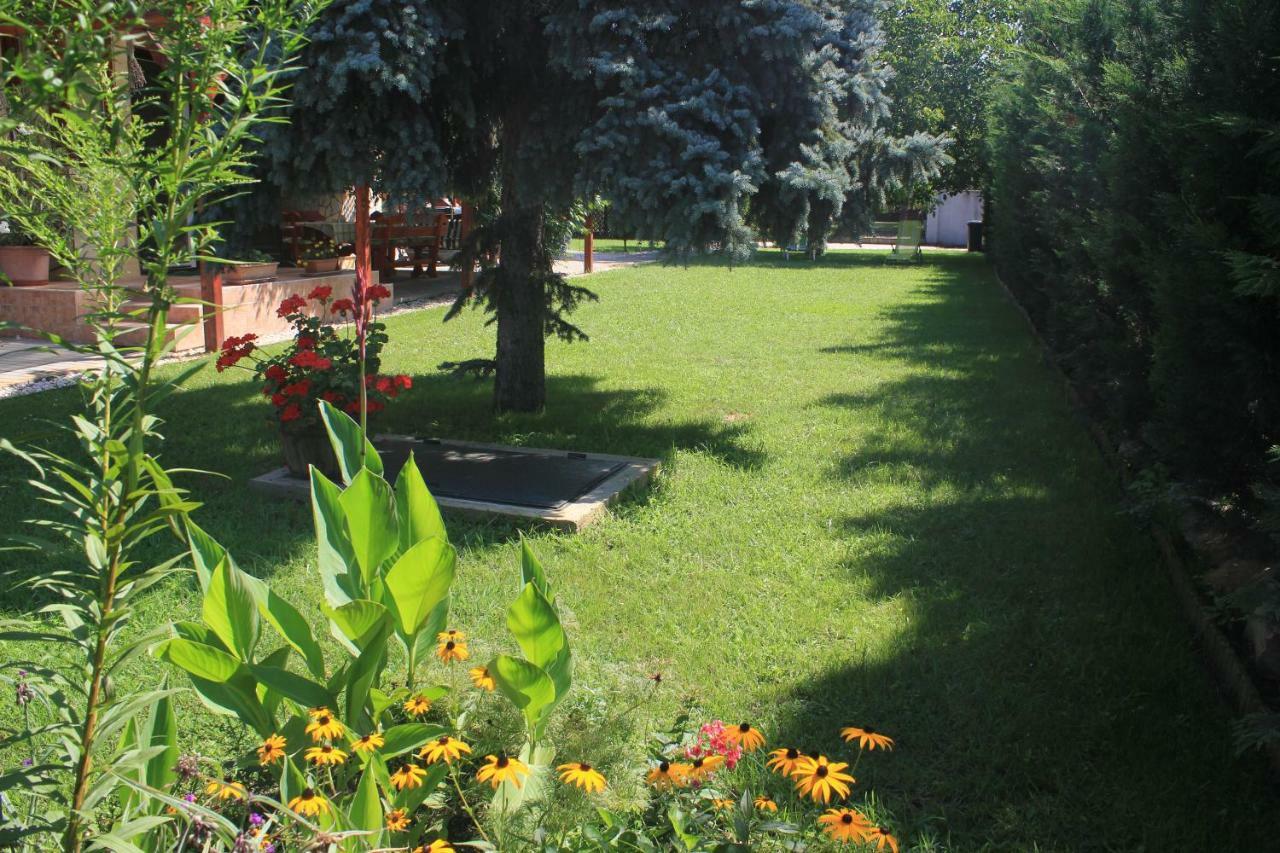 Relax Apartman Nyíregyháza Kültér fotó